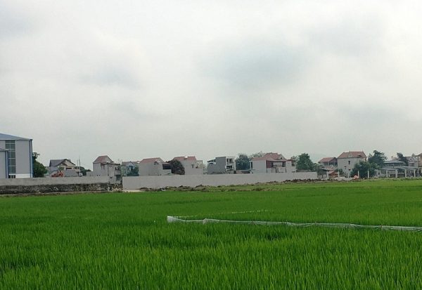 Yên Định (Thanh Hóa): Công ty TNHH giấy bao bì Thanh Sơn san lấp đất nông nghiệp không phép