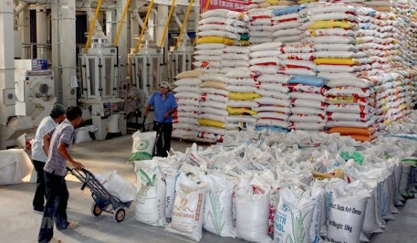 Thiếu minh bạch trong điều hành xuất khẩu gạo