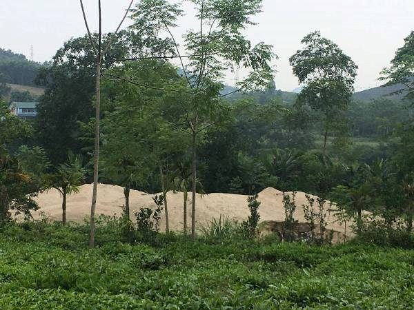 Cần xử lý dứt điểm tình trạng khai thác cát trái phép tại thị trấn Vĩnh Tuy