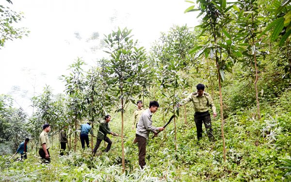 Động lực phát triển nhìn từ vai trò cấp ủy