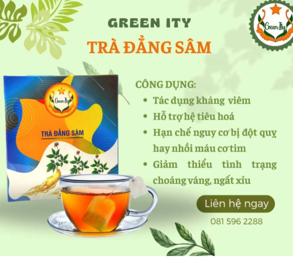 https://phongchongthamnhung.com.vn/wp-content/uploads/2024/09/u1-600x529.png